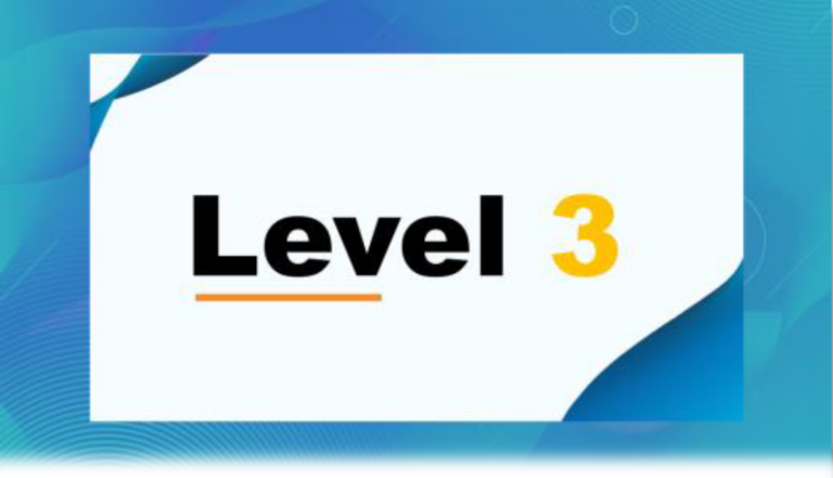 level 3